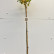 Amelanchier arborea ‘Robin Hill’ - 120 standard