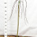 Salix caprea ‘Kilmarnock’ - 100 standard