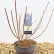 Hydrangea paniculata ‘Living Little Blossum’® - 30-40