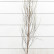 Amelanchier canadensis Rainbow Pillar - 8-10