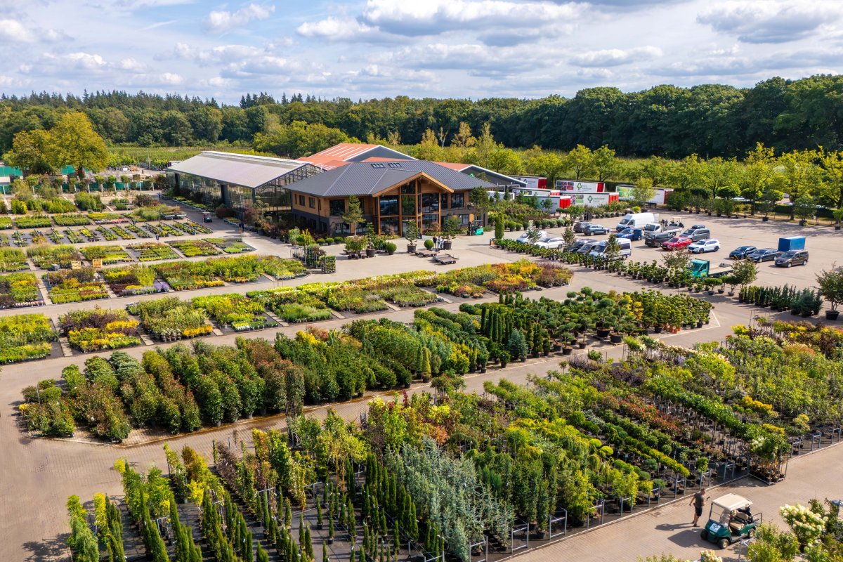 Totaalleverancier van hoogwaardige tuinplanten en bomen.