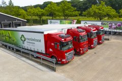 Planten en bomen groothandel